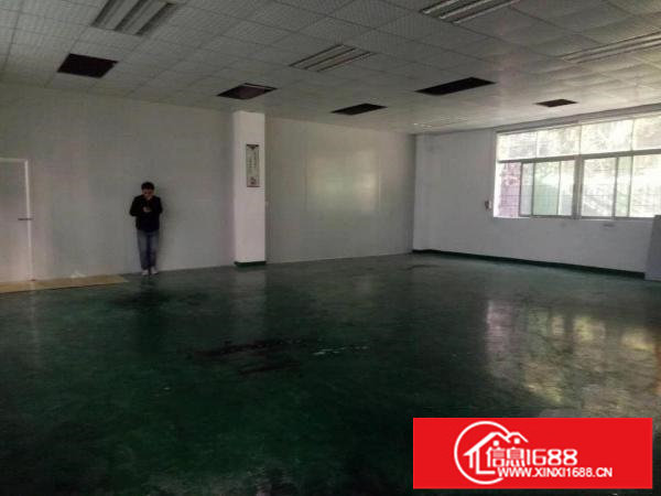 龙岗南联地铁站旁一楼300平带装修厂房出租