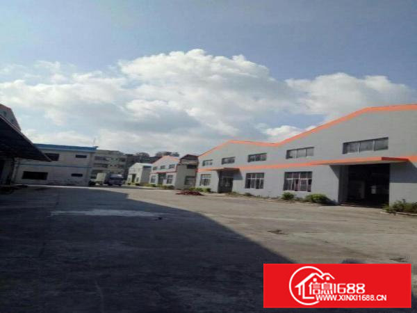 高埗独院钢构单一层厂房5000平方出租宿舍按需空地超大