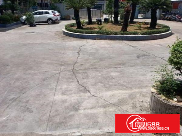 原房东独门独院标准厂房一楼证件齐全能办环评空地超大