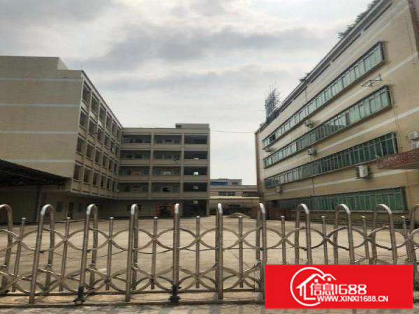 园洲厂房出租小独院标准厂房国有地正件齐全，可办环评