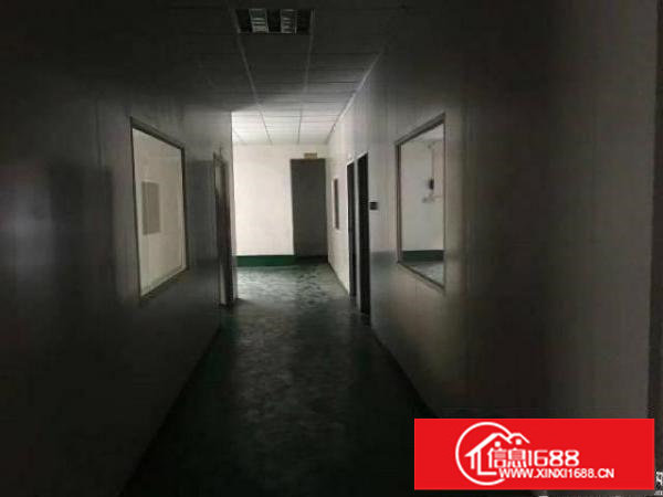 出租龙岗区五联原房东标准厂房带行车一楼500平