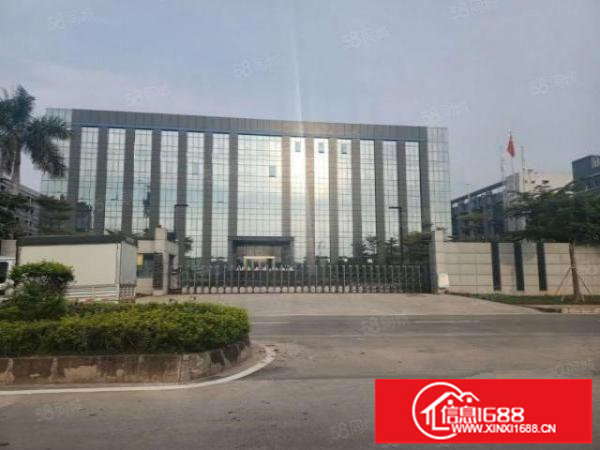 龙岗宝龙楼上2000平厂房出租精装修全新地坪漆花园式厂房