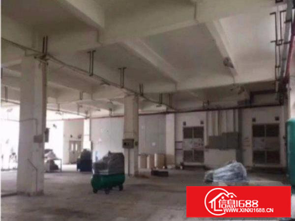 常平桥梓村标准厂房一楼1830平高5.5米水电齐全空地大
