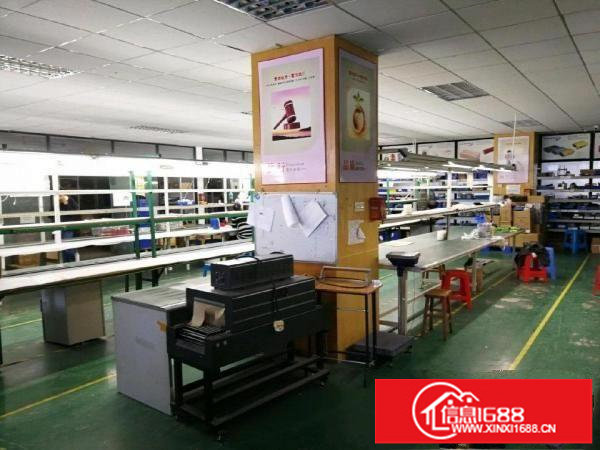 坂田上雪科技园精装厂房2004501000平招租