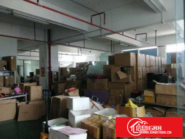 丹竹头地铁旁450平厂房电商仓库房东直租拎包入驻