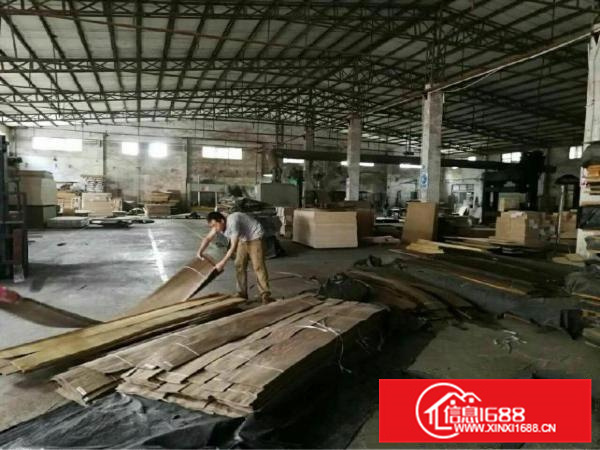 新墟原房东0公摊15000钢构独院，可分租