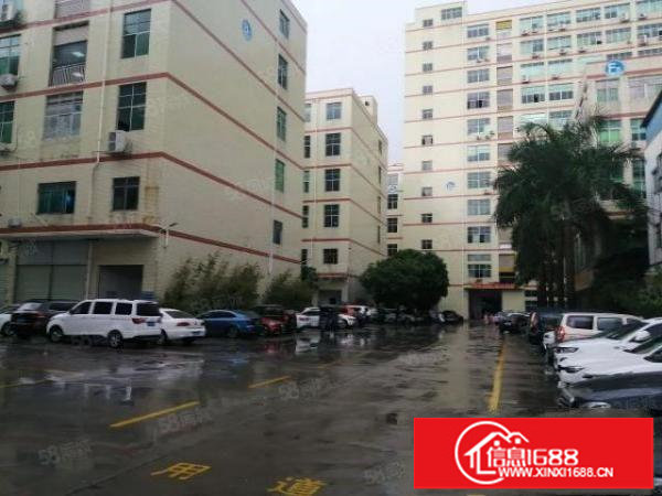 松岗一楼2000平方，仓库物流生产加工可办环评