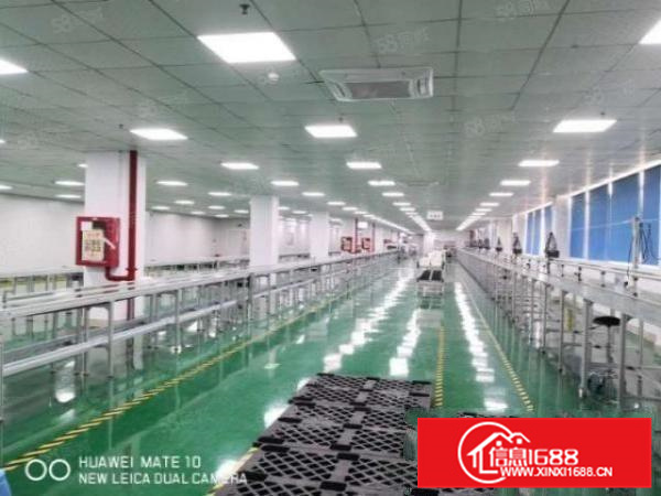 房东急出租1500方北滘工业区，租金便宜，内有精装修办公室