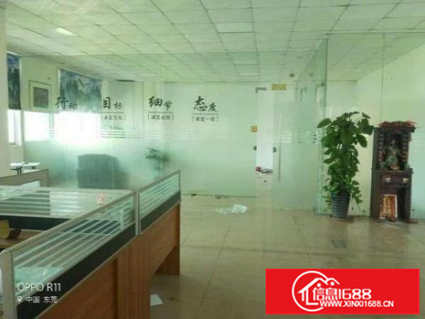 龙岗坪山碧岭大量带200平办公室装修厂房出租