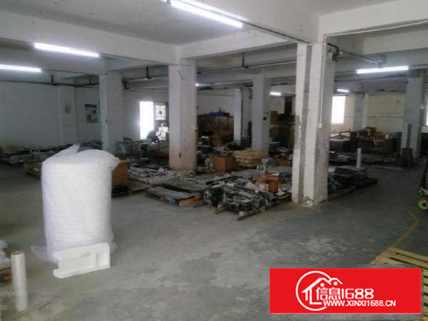 沙井西环路南环路大王山塘尾1楼450平带装修厂房出租