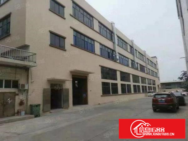 桥头镇新出标准厂房原房东1800平方水带牛角