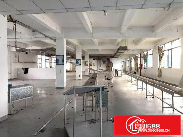 横岗1128平米带装修厂房出租