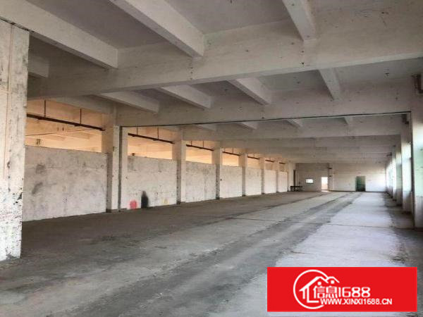 博涌独院标准电梯厂房可分租1000平方