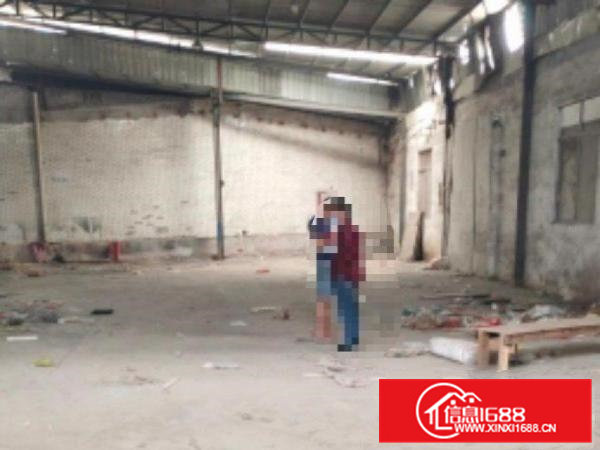 金桔原房东铁皮250平方厂房出租