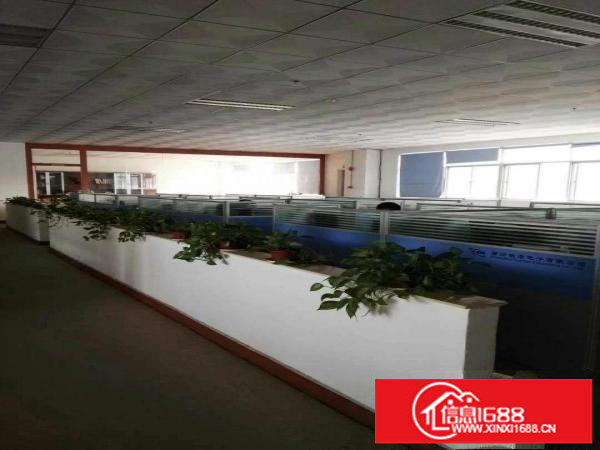 龙岗宝龙高新区新出原房东豪华装修楼上1200平