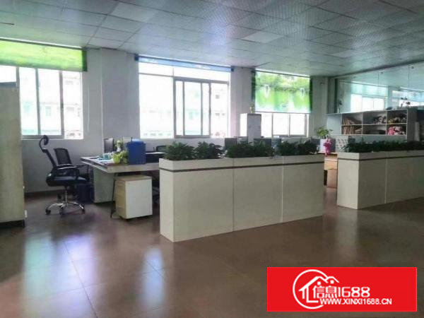 （小独院出租）清溪原房东独院厂房出租800平，带装修