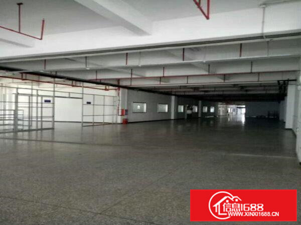 高埗新出一二楼厂房1300平方米，水电齐全，带装修