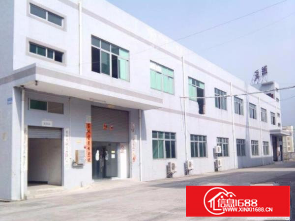 大岭山原房东经典独院2层1000平厂房出租大空地价格便宜