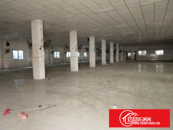 谢岗标准独院厂房总面积3100平方，16元每平方