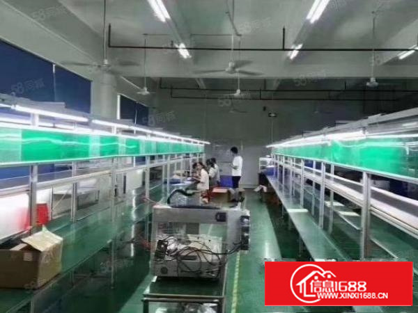 凤岗官井头一楼550平厂房出租，带3吨行车现成水电办公室