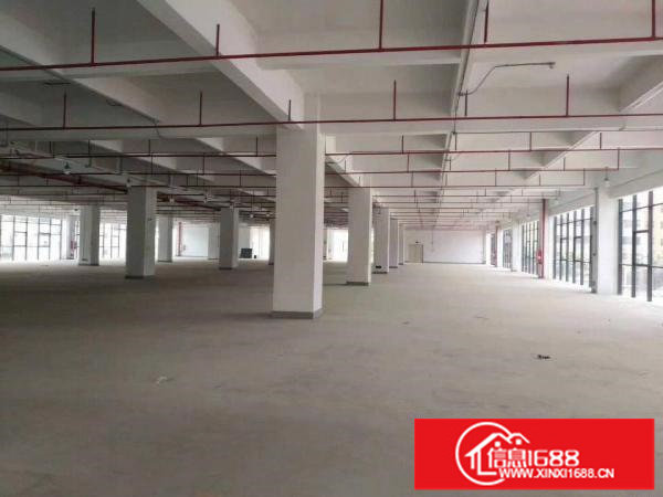 横岗园山安良高新产业园一楼5.5米2200平，大小分租有红本