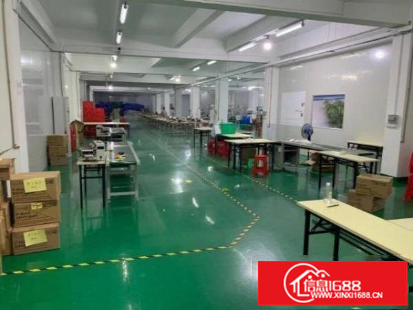 横岗六约楼上精装修1558平大小可以分租