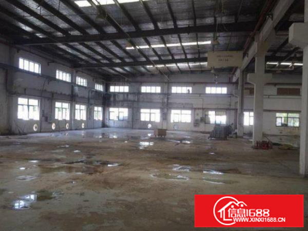 出租惠阳新墟2800平标准厂房层高8米