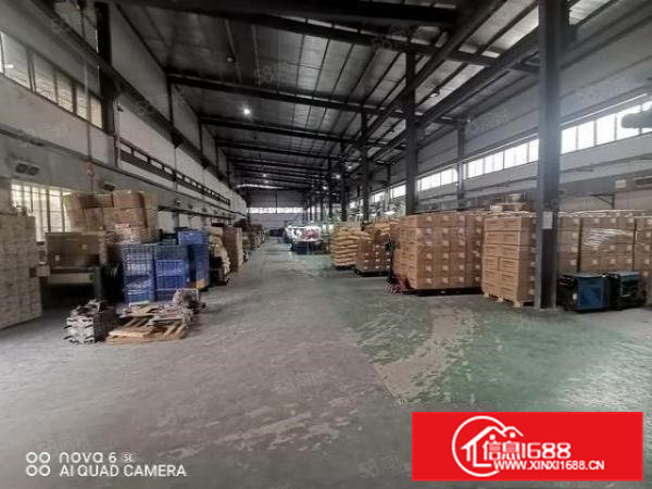 横沥镇原房东精装修带行车单一层10高配套齐全无公摊厂房出租