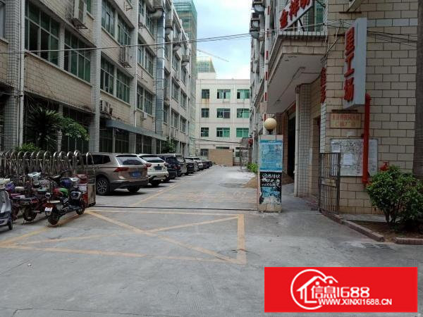 大浪2000平原房东出租