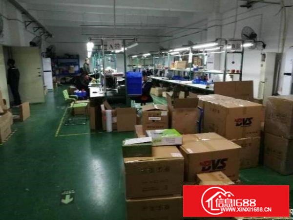 坪山碧岭楼上480平原房东厂房出租公摊小