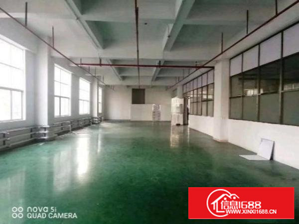 长安沙头全新重工业厂房带豪华装修1490平招租