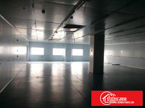 沙湖标准1楼1000平高6米厂房出租，水电到位，外观形象好