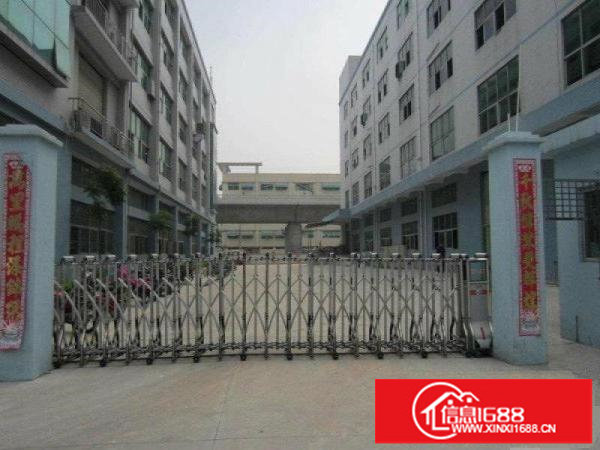 龙岗龙西新出厂房680平方带装修特价出租