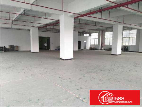 大岭山新出原房东一楼厂房1000平方带地坪漆装修