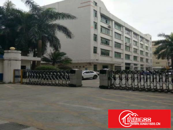 龙岗中心区南联大型工业园新出一楼500平方出租