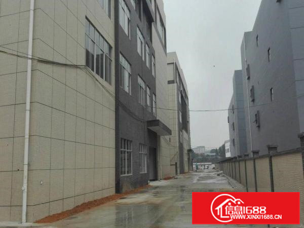 全新标准重工厂房四层2650平米/层可分租