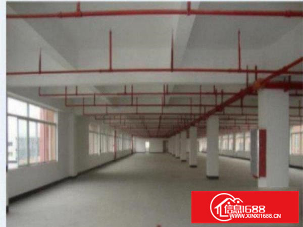 高埗一楼厂房出租50015002000平方出租配电按需，