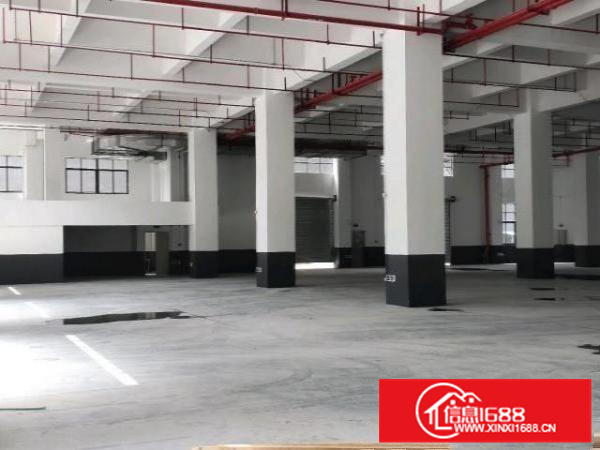 容桂高黎高新区厂房出租