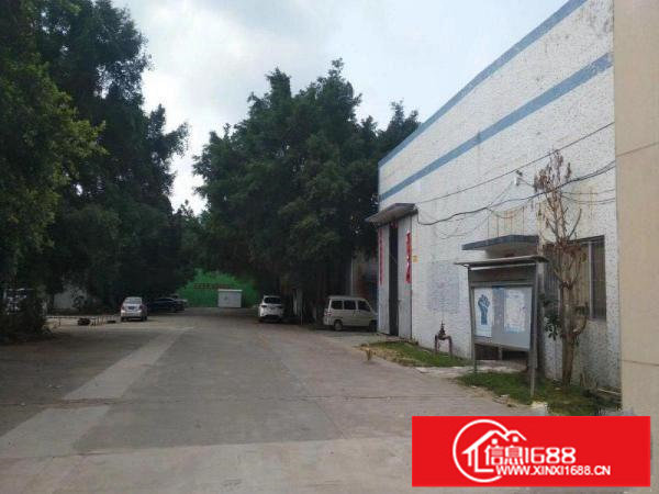 坪山10米高钢结构厂房2400平米超大空地大小分租