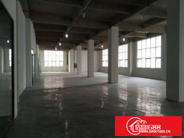 木棉湾65平/100平/200平/300平写字楼厂房