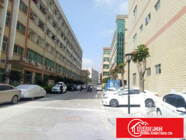 坪山厂房独院工业园精装厂房出租2万平分租3百平起一楼厂房仓库