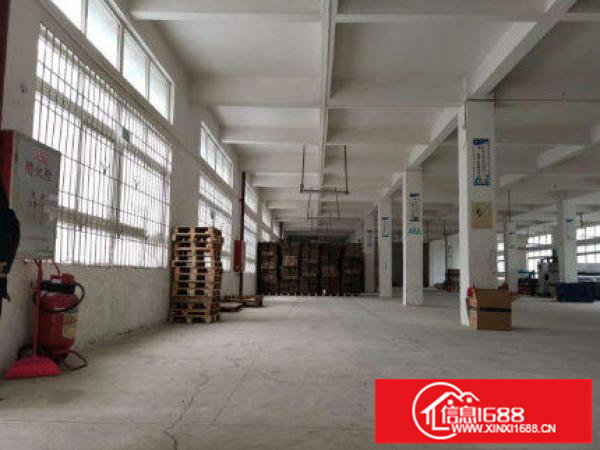 500米原房东楼上带装修600平厂房出租