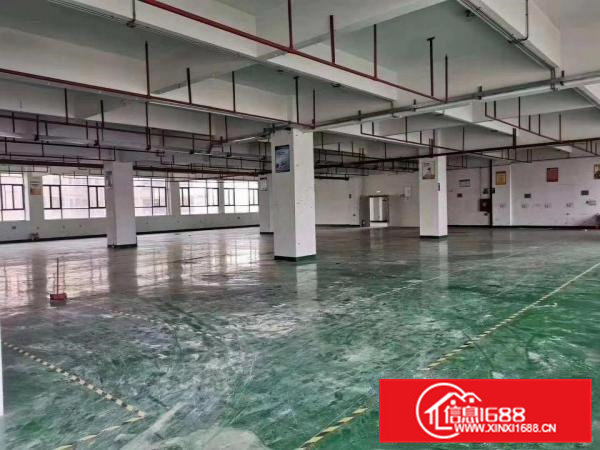 大朗仙村标准工业园带精装修办公室仓库厂房出租一楼楼上1000