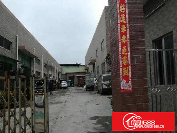 横沥田饶步原房东滴水8米独院工业厂房共3300平方招租