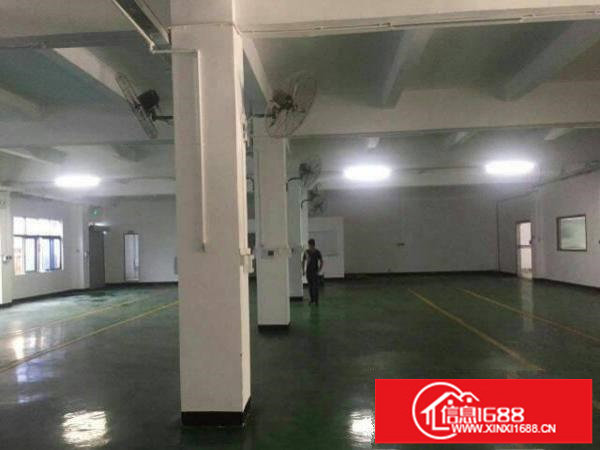 出租布吉信义原房东标准一楼厂房950平有精装办公室