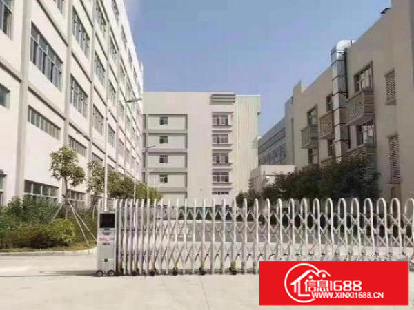 龙华新区独门独院厂房配套成熟交通方便实用率高价格实惠