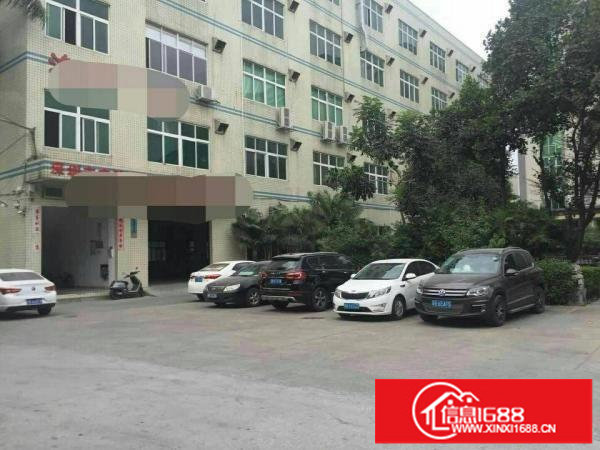 龙岗带装修厂房1200平米整层出租，无公摊面积