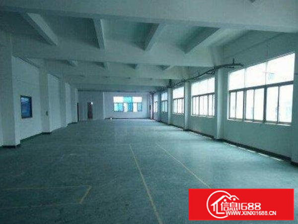 清溪谢坑工业区现有一楼750平带现成装修标准厂房招租