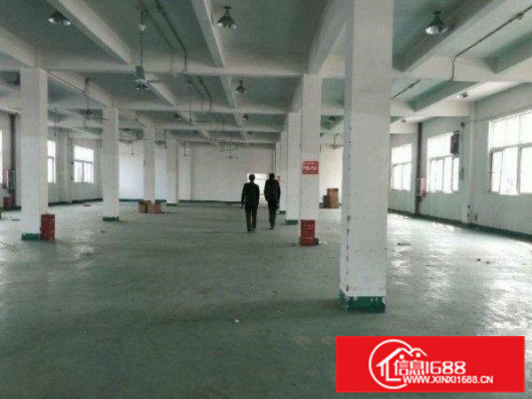 东坑塔岗一楼1200平米临近主干道标准厂房层高6米带卸货平台