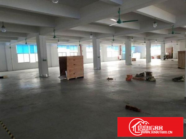 容桂标准1850方，厂房方正实用，采光好，进车方便